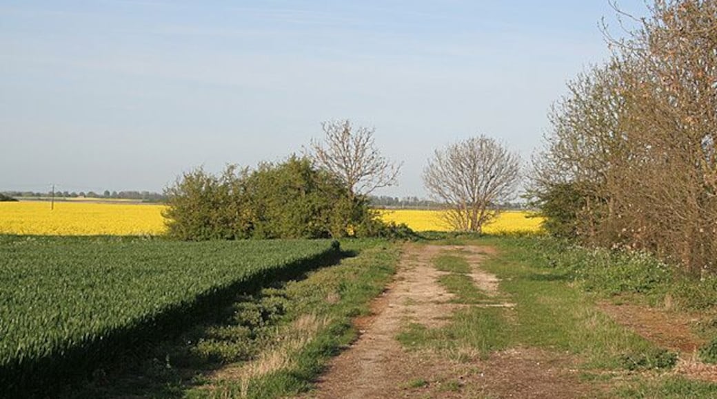 Farm track near Anwick The map suggests that this may have been an earlier alignment of the road, but this is not obvious on the ground.
