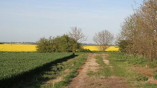 Farm track near Anwick The map suggests that this may have been an earlier alignment of the road, but this is not obvious on the ground.