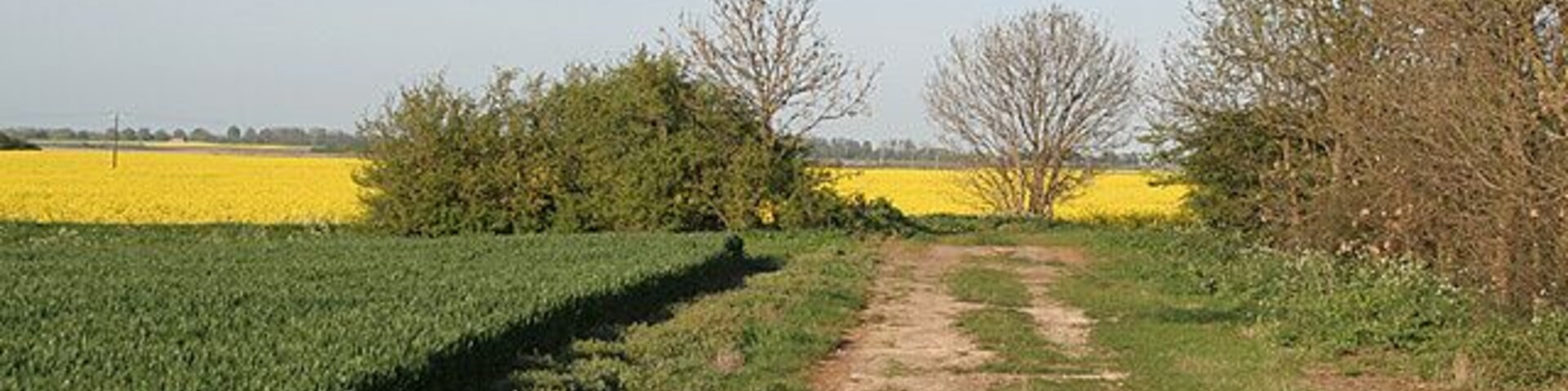 Farm track near Anwick The map suggests that this may have been an earlier alignment of the road, but this is not obvious on the ground.