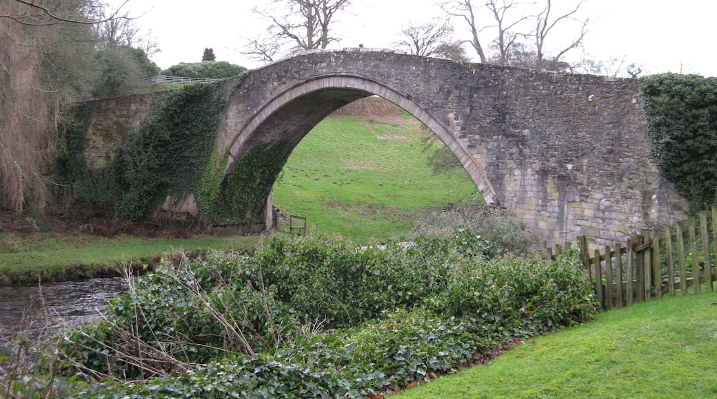 Looking down river to Brig o' Doon
