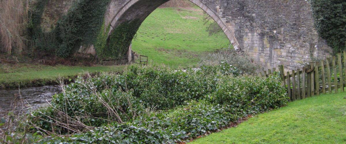 A stone bridge over a stream with greenery on either side.