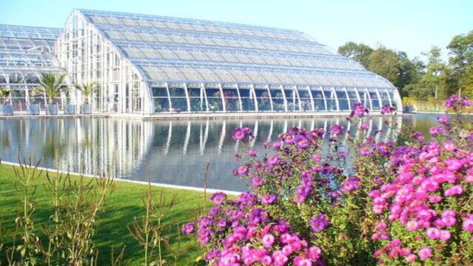The Glasshouse, Wisley Large glasshouse and ornamental pond at RHS Wisley Garden. Asters flowering in the foreground. http://www.rhs.org.uk/WhatsOn/gardens/wisley/index.asp