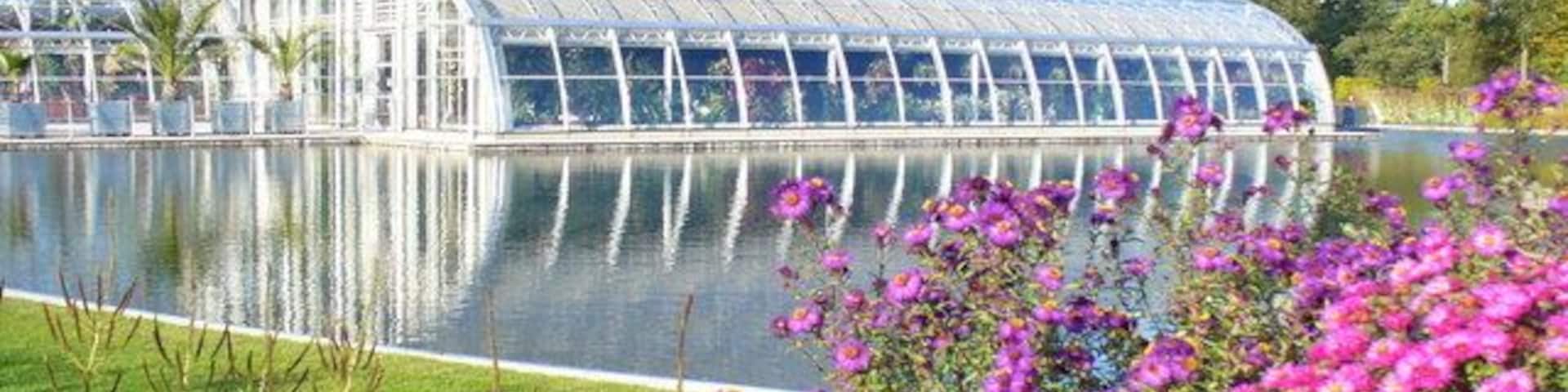 The Glasshouse, Wisley Large glasshouse and ornamental pond at RHS Wisley Garden. Asters flowering in the foreground. http://www.rhs.org.uk/WhatsOn/gardens/wisley/index.asp