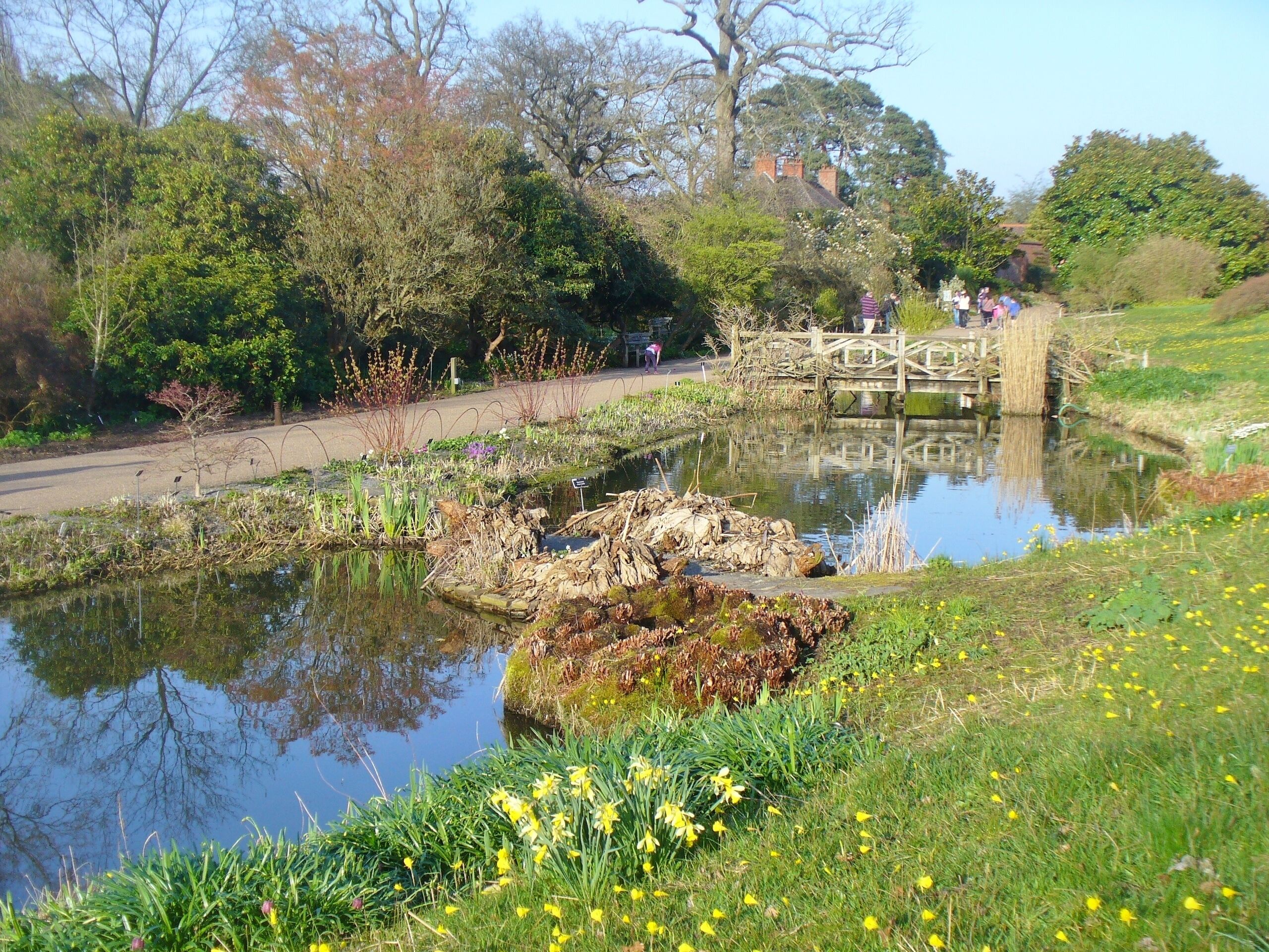 Wisley - Rock Garden Ponds. Reflective moods below the Alpine Meadow at RHS Wisley.