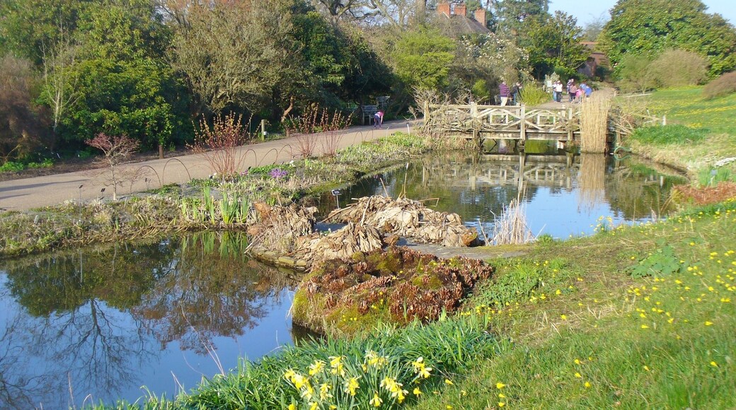 Wisley - Rock Garden Ponds. Reflective moods below the Alpine Meadow at RHS Wisley.