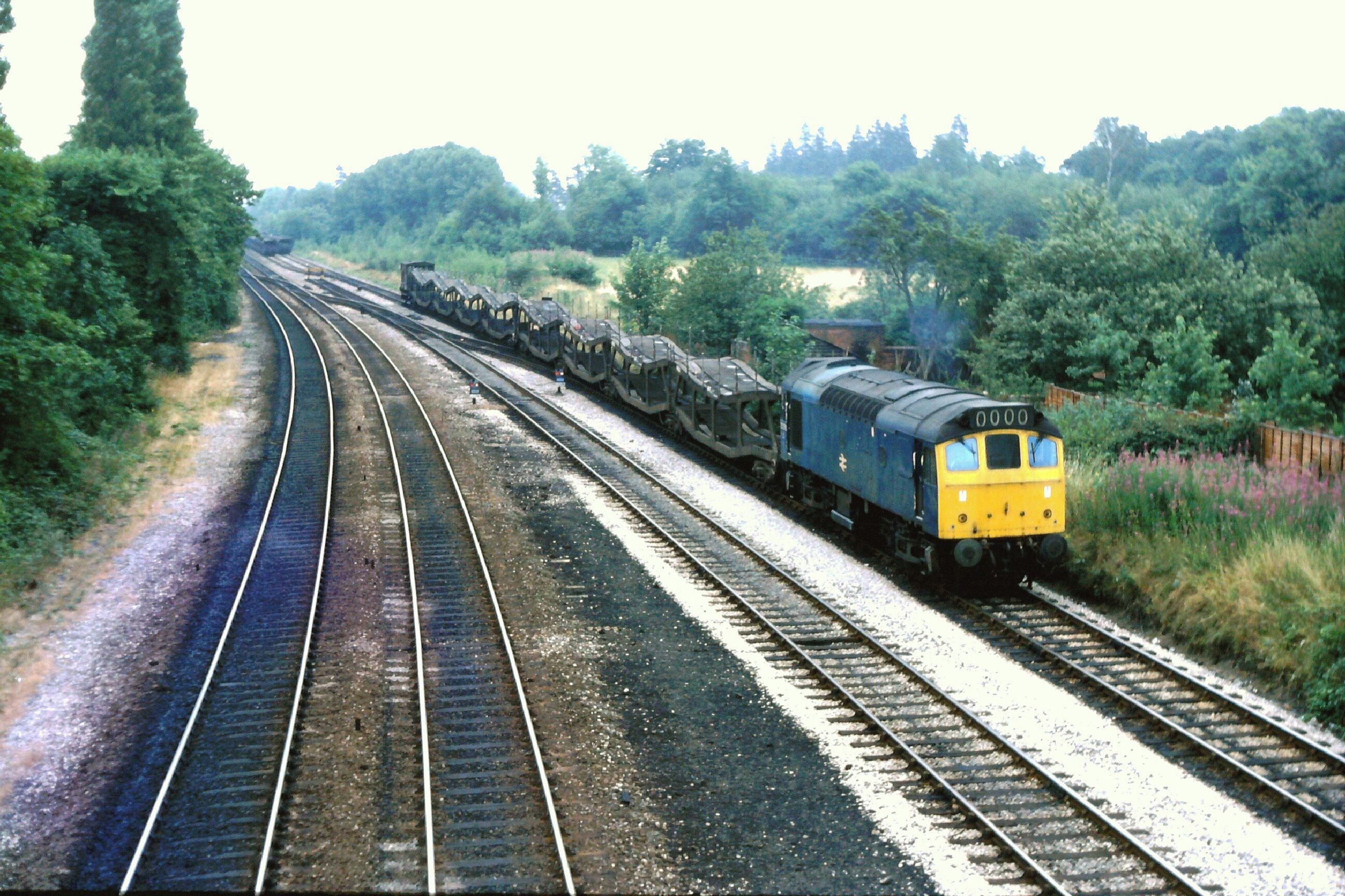 A train on a railway track surrounded by greenery.