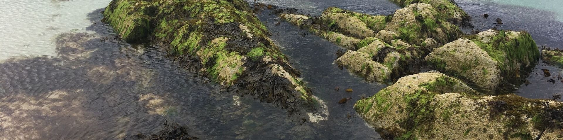 A coastal landscape with clear turquoise waters, rocky formations covered in seaweed, and a distant hill with sparse vegetation.