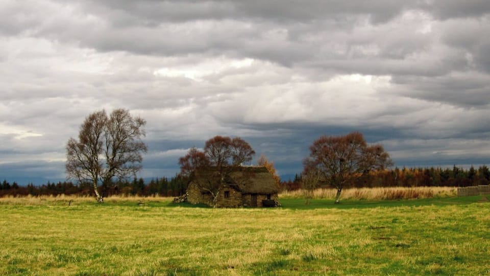 A thatched-roof house in a grassy field with trees and a cloudy sky.