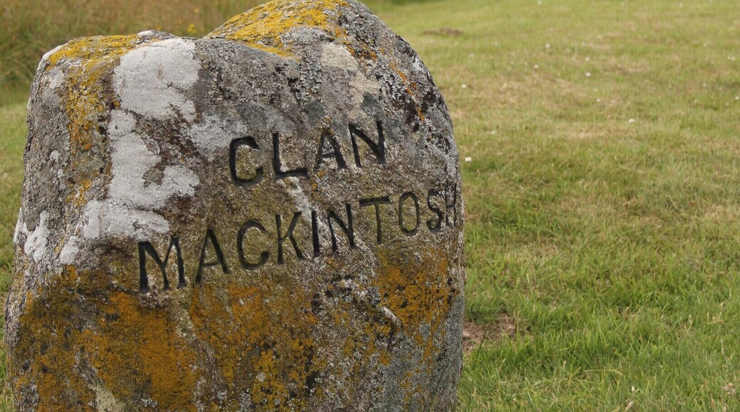 One of the many tombstones at the battle field of Culloden. The Jacobite army of 5500 was crushed by the government army of 7500 in less than an hour.