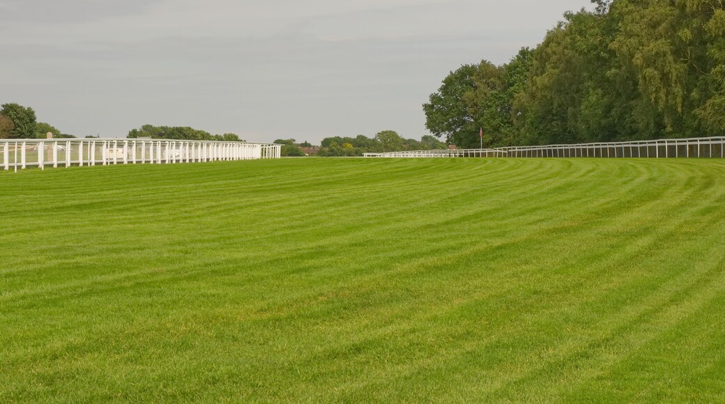 Racecourse at Epsom Downs, Surrey, England