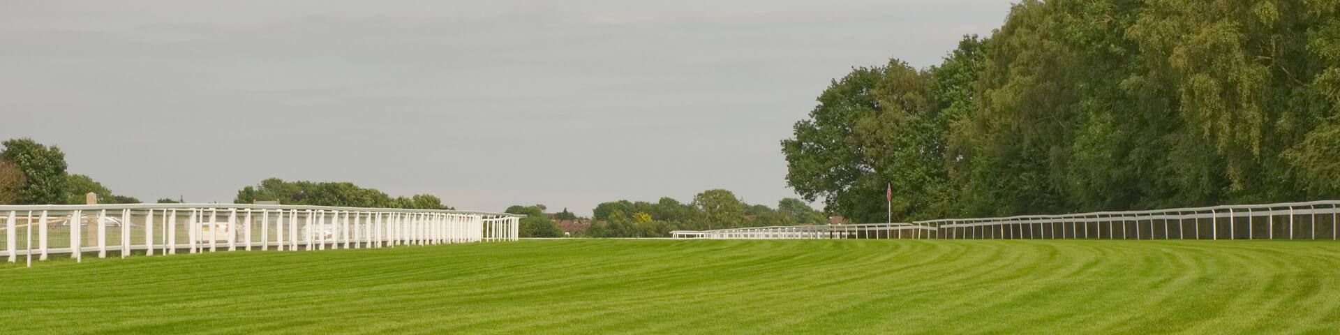 A well-maintained grassy field with a white fence running along one side.