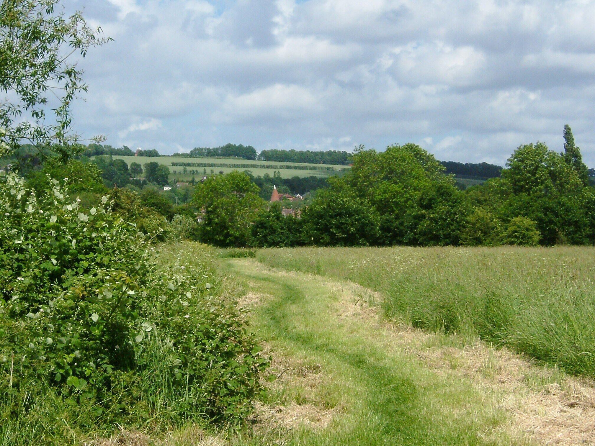 Yalding, view from the Lees. This is a typical scene from Kent in Greensand Country. It comes complete with Oast Houses. Camera location 51° 13′ 19.92″ N, 0° 25′ 25.68″ E View this and other nearby images on: OpenStreetMap - Google Earth 51.222200; 0.423800