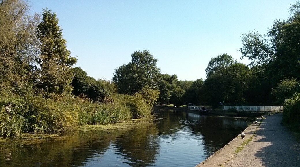 Birstall barge on soar