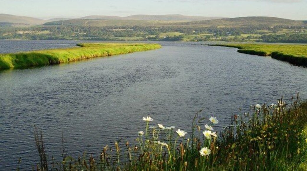River channel by Bonar Looking out towards the Kyle of Sutherland from the Kincardine side of the river by Bonar.