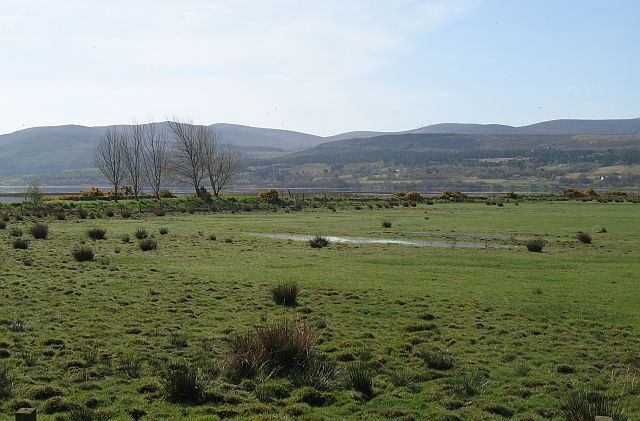 Wet farmland opposite Bonar Bridge Wet grassland beside the Dornoch Firth.