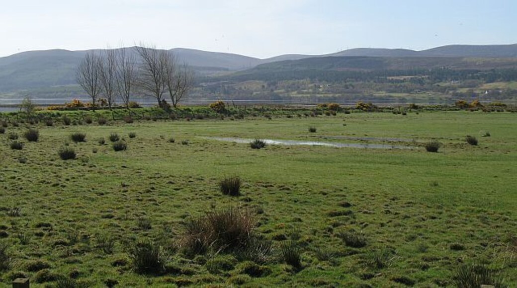 Wet farmland opposite Bonar Bridge Wet grassland beside the Dornoch Firth.