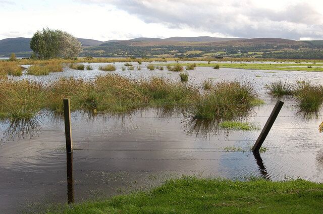 Wetland area by Kyle of Sutherland A few geese and gulls present.