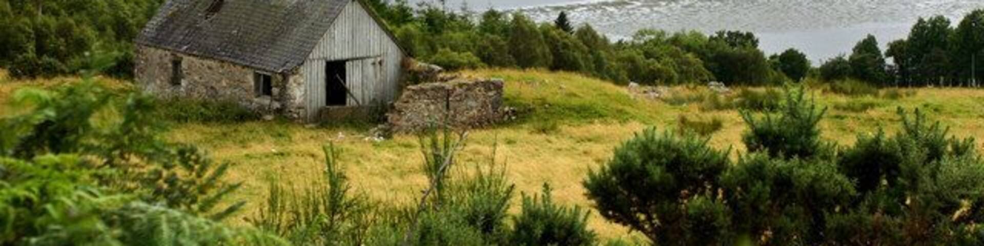 Ruined Cottage at Maikle Wood from North-East Another view of this old ruin. These old crofts are very photogenic.