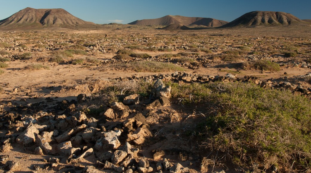 Majanicho. La Oliva. Fuerteventura. Canary Islands. Spain., Shutterstock ID 1063825280, Purchase Order: -