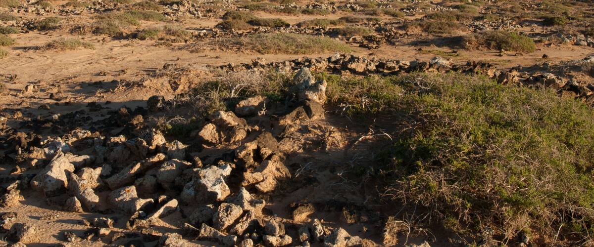 A desert landscape with rocky terrain and distant hills.