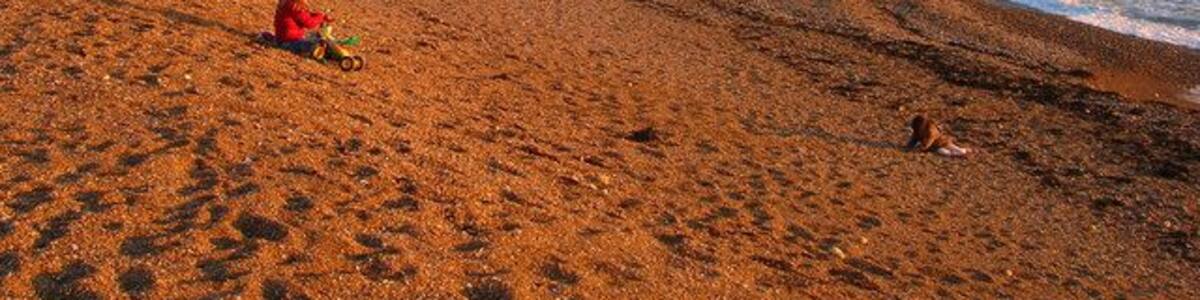 Basking in the Winter Sun, Saltdean Beach The late afternoon sun provides a golden glow for those braving the cold to sit on the beach. The beach itself is protected by two sets of rocks each side of Saltdean Gap in order to provide a beach at all levels of tide.