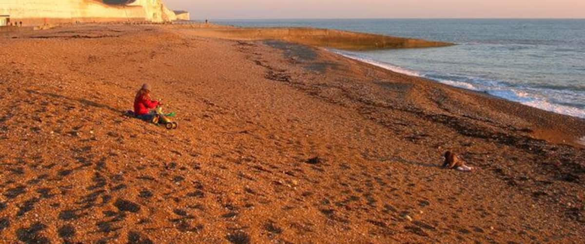 Basking in the Winter Sun, Saltdean Beach The late afternoon sun provides a golden glow for those braving the cold to sit on the beach. The beach itself is protected by two sets of rocks each side of Saltdean Gap in order to provide a beach at all levels of tide.