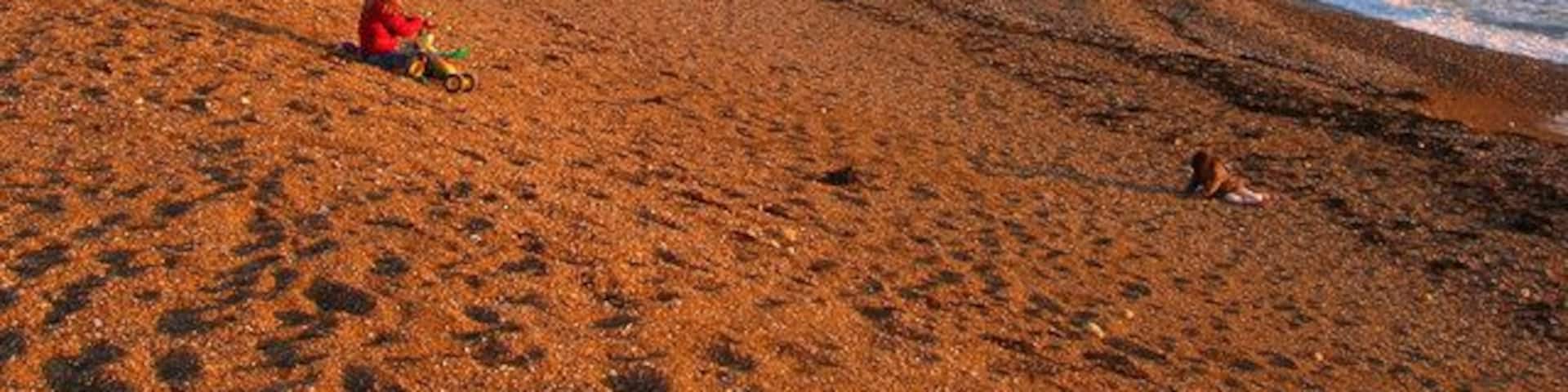 Basking in the Winter Sun, Saltdean Beach The late afternoon sun provides a golden glow for those braving the cold to sit on the beach. The beach itself is protected by two sets of rocks each side of Saltdean Gap in order to provide a beach at all levels of tide.