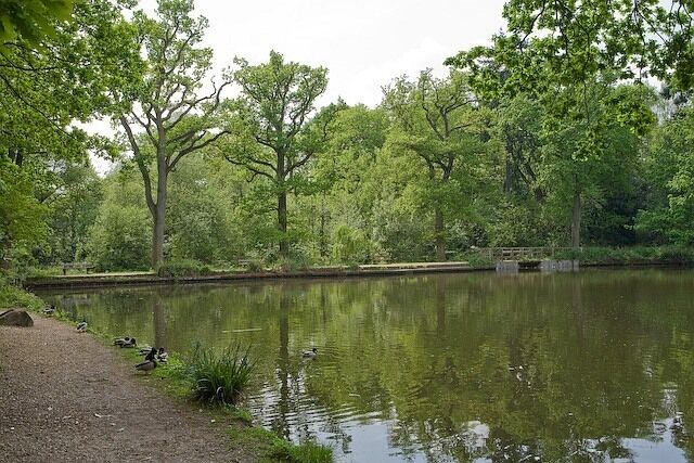 Hiltingbury Lake outflow Looking at the straight southern side of the northernmost lake: clearly a man-made dam to create the lake. The outflow is at the right.