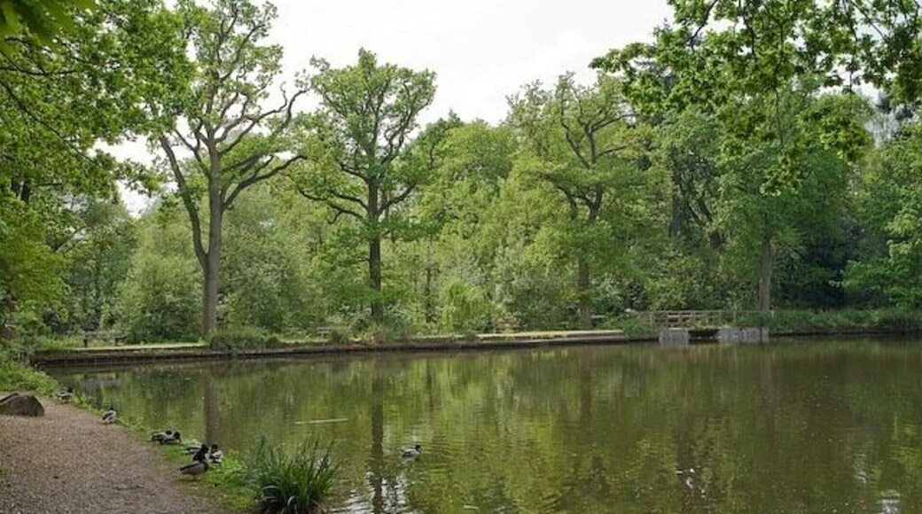 Hiltingbury Lake outflow Looking at the straight southern side of the northernmost lake: clearly a man-made dam to create the lake. The outflow is at the right.
