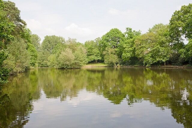 Hiltingbury Lake Looking across the largest, northernmost lake from near its outlet. The other, smaller lakes (behind photographer) are very overgrown and not really visible.