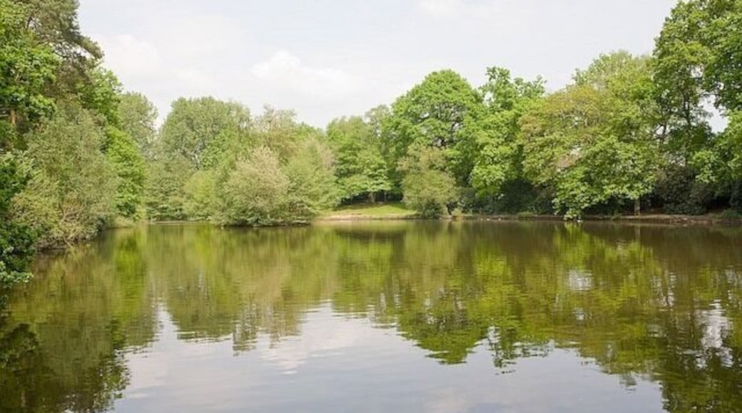 Hiltingbury Lake Looking across the largest, northernmost lake from near its outlet. The other, smaller lakes (behind photographer) are very overgrown and not really visible.