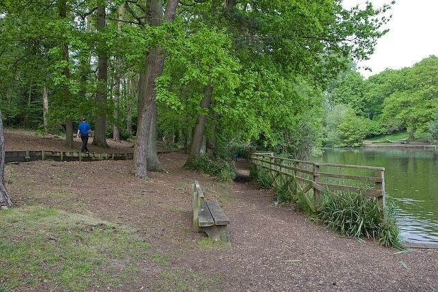 Western bank of Hiltingbury Lake The largest northernmost lake.