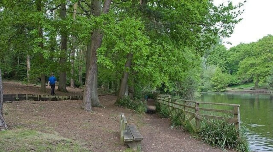 Western bank of Hiltingbury Lake The largest northernmost lake.