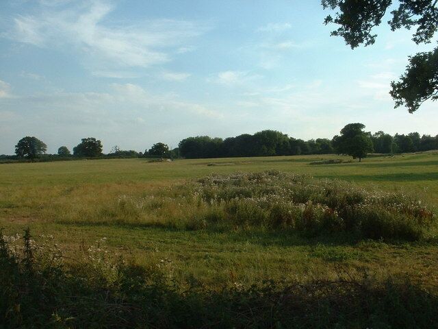 Farmland near Oak Farm. Looking south westish.