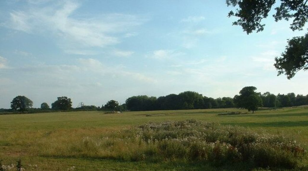 Farmland near Oak Farm. Looking south westish.