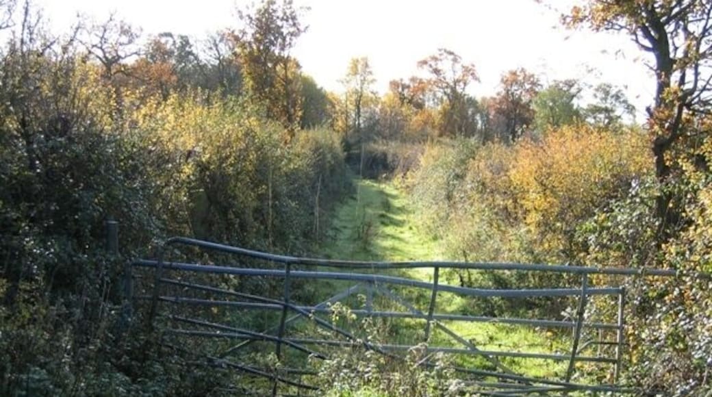 Bretton Lane A short section of the old Bretton lane, which used to go to Lower Kinnerton. It is now cut off by the A55, and the new road goes left, behind the camera, and over a flyover to join the lane to Kinnerton again on the other side of the major road.