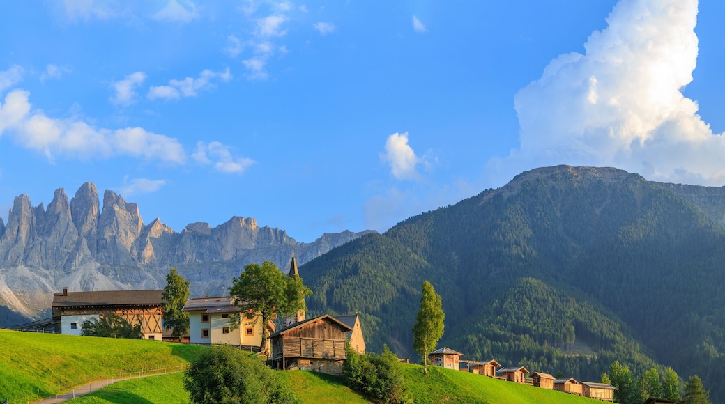 Santa Maddalena at sunset, Dolomites, Italy