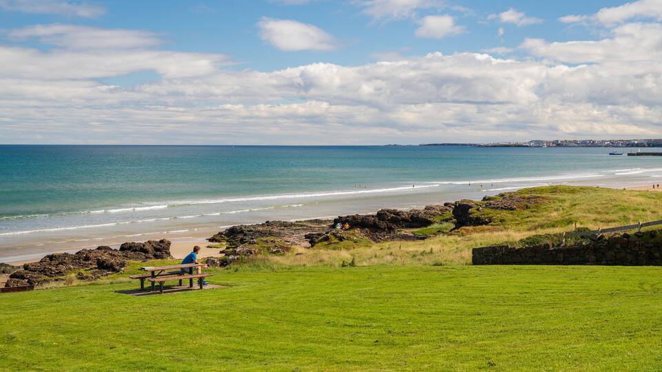 A coastal landscape with a grassy foreground, rocky shoreline, and a view of the sea and distant buildings.