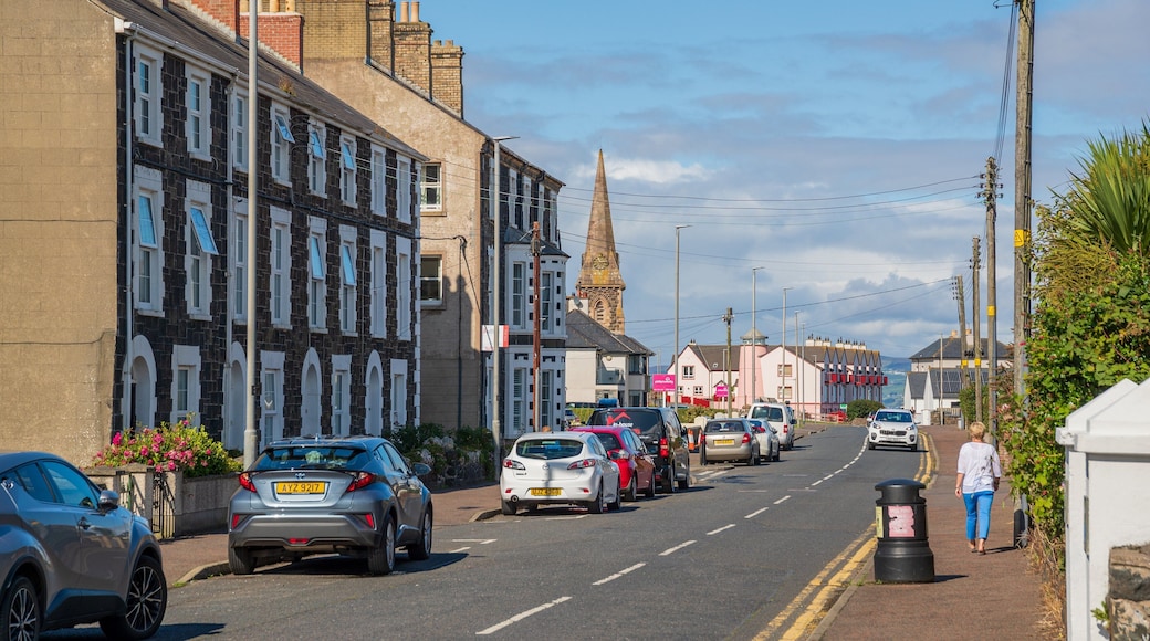 Castlerock showing street scenes