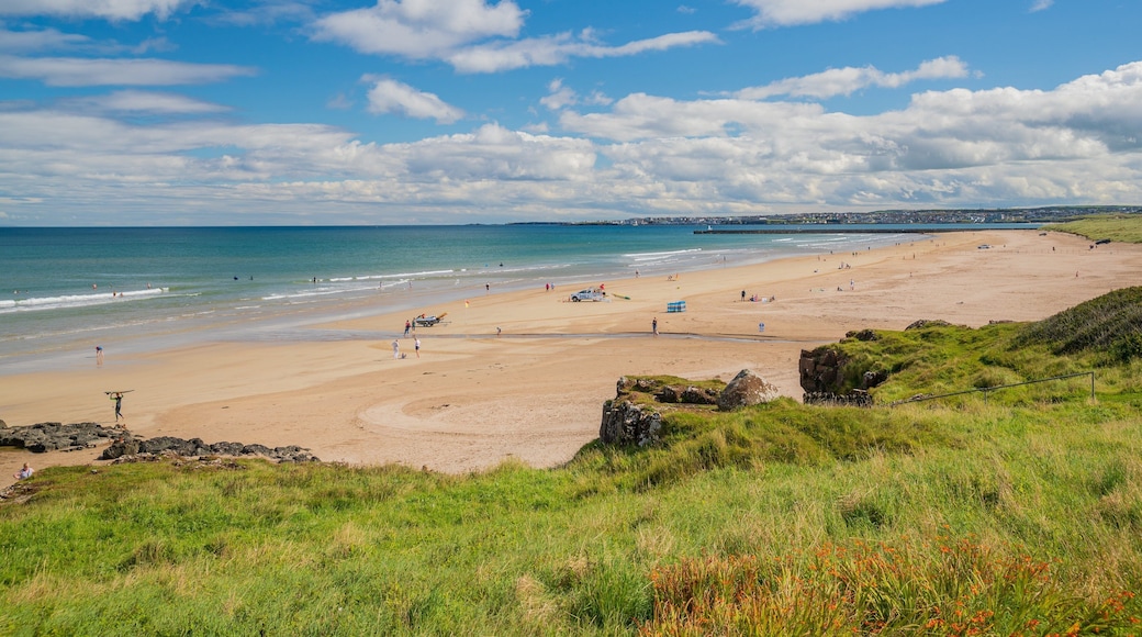 Castlerock showing a beach, general coastal views and landscape views