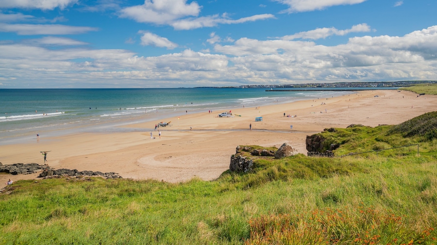 Castlerock showing a beach, general coastal views and landscape views