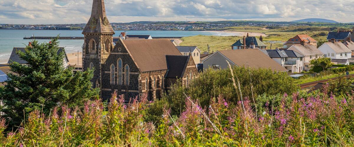 Castlerock featuring wildflowers and a coastal town