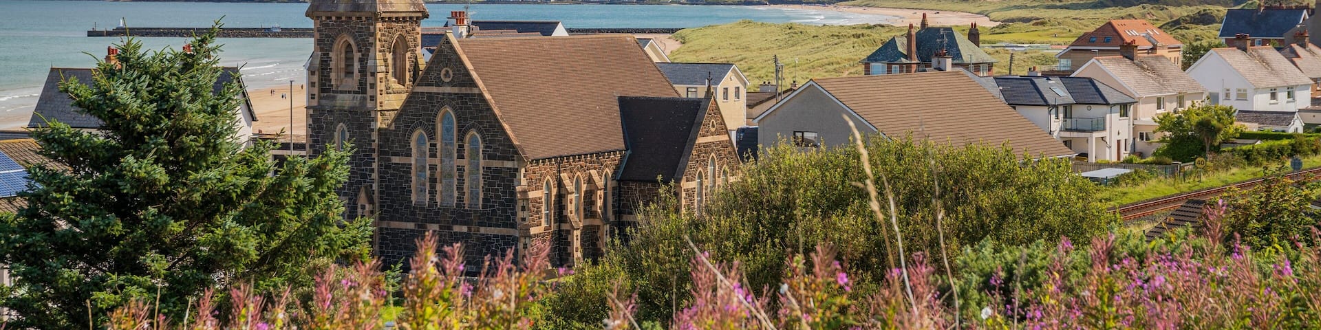 Castlerock featuring wildflowers and a coastal town