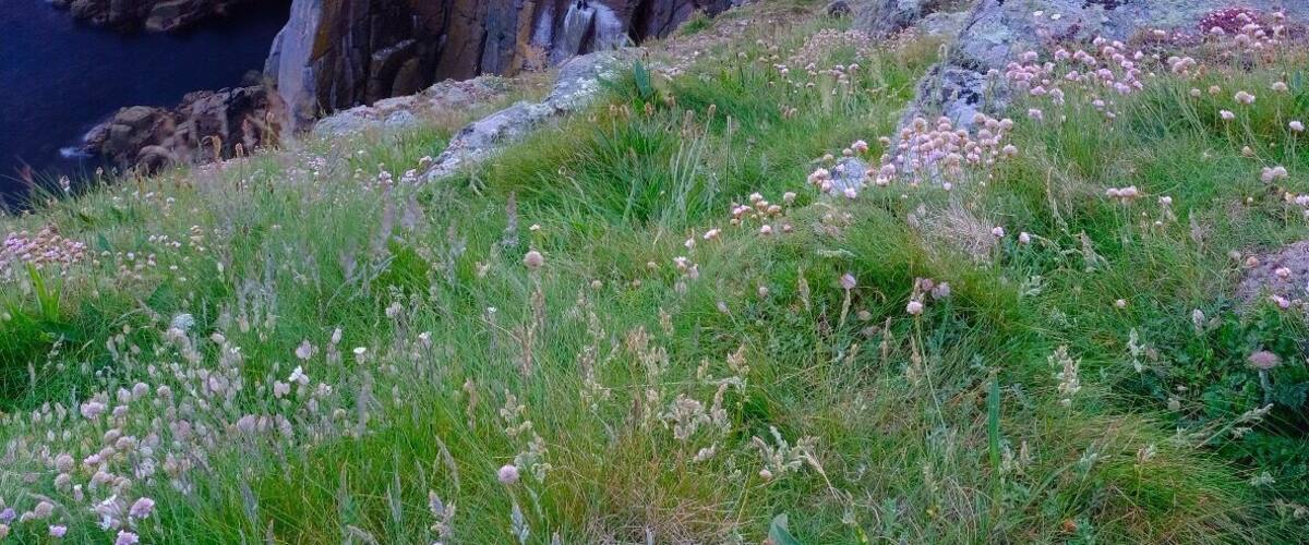 Dr Syntax’s head at Lands End, one of many fantastic photo opportunities here!