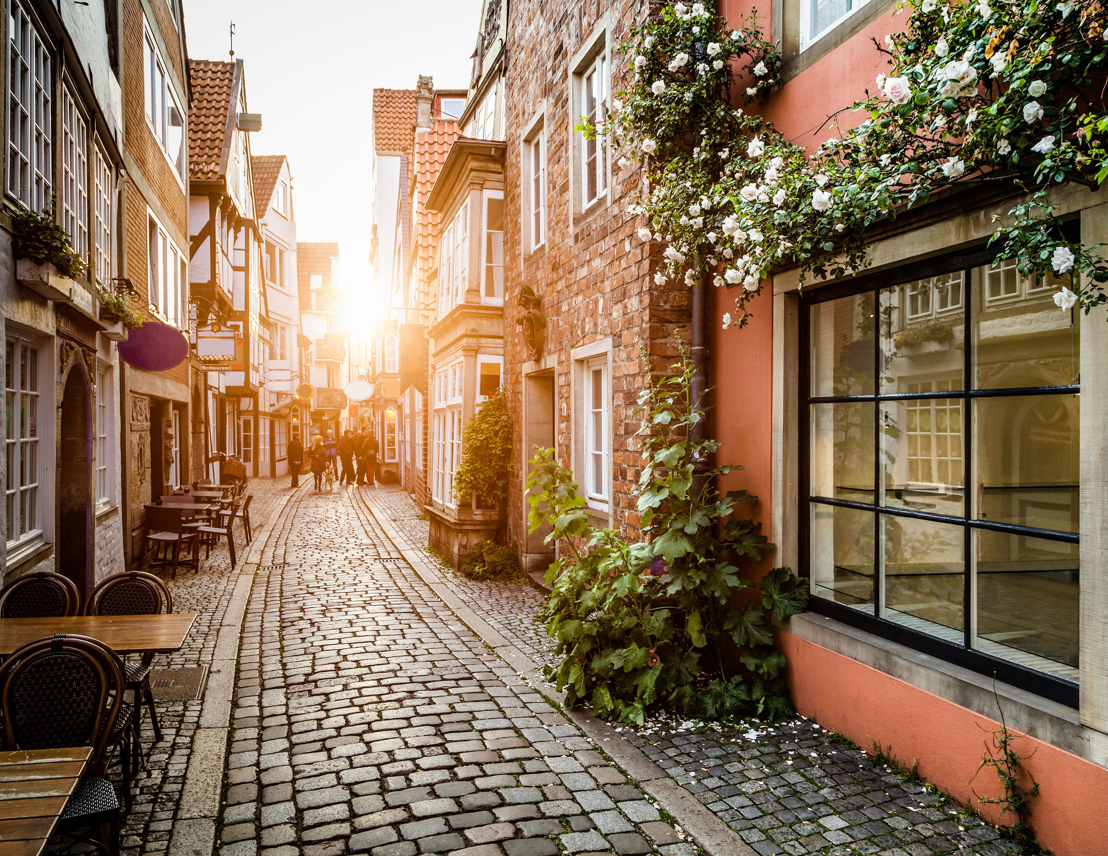 Une rue pavée bordée d’immeubles en briques, dont certains sont recouverts de lierre et décorés de fleurs, et où l’on trouve des terrasses.