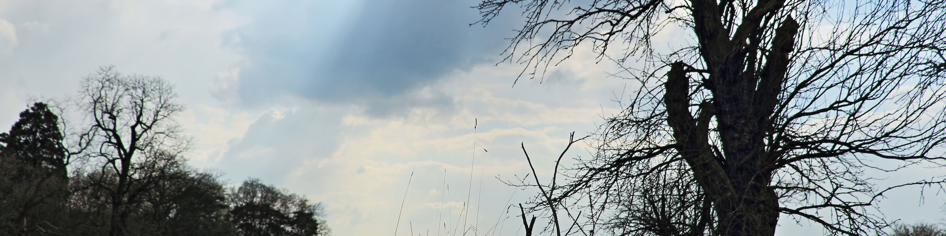 obwohl am 22.02.2000 unter Grabungsschutz gestellt (http://www.mainz.de/C1256CBE00310D9B/%28IDs%29/67433F5FE740EECAC1256CEE00364290/$FILE/41.072%20-%20RVO%20zur%20Festsetzung%20des%20Grabungsschutzgebietes%20Layenhof%20in%20Mz-Finthen%20vom%2021.02.2000a.pdf) nicht in der Liste der Kulturdenkmäler enthalten