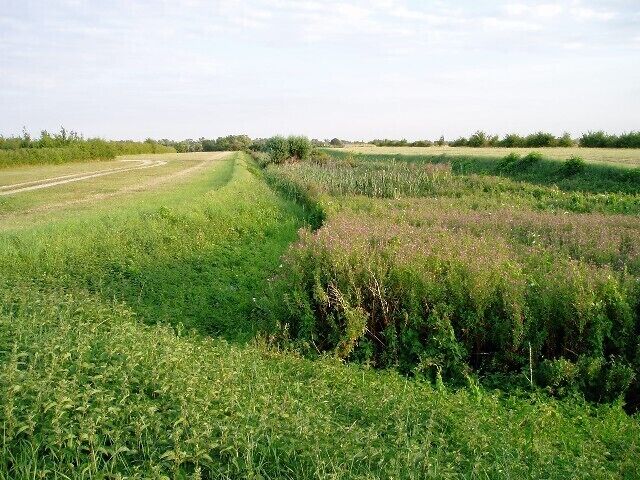 Car Dyke near Waterbeach, Cambridgeshire, England