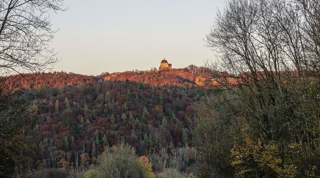 Castle Burg Hohenstein on the hill with colorful forest in the autumn evening light