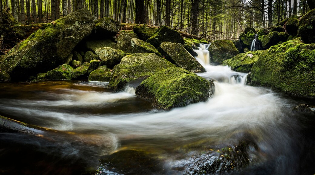 Arrondissement de Freyung-Grafenau