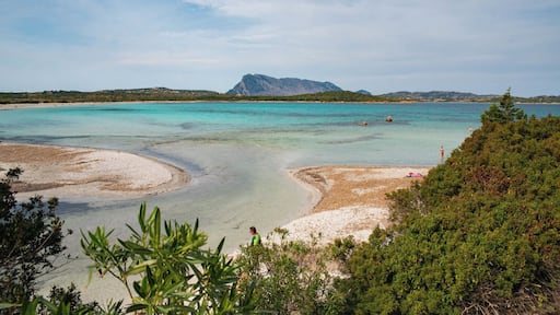 Final stop off at Lu Impostu before we flew out. A month on Sardinia.